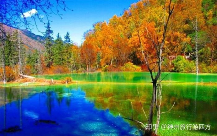 私人導(dǎo)游
才跟閨蜜到四川成都玩了5天,去之前自己也做了一些攻略 私人導(dǎo)游
才跟閨蜜到四川成都玩了5天,去之前自己也做了一些攻略