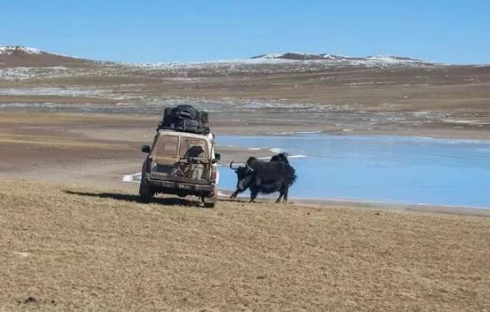 云南小伙自駕西藏11次,總結(jié)出10大經(jīng)驗(yàn),值得收藏 云南小伙自駕西藏11次,總結(jié)出10大經(jīng)驗(yàn),值得收藏