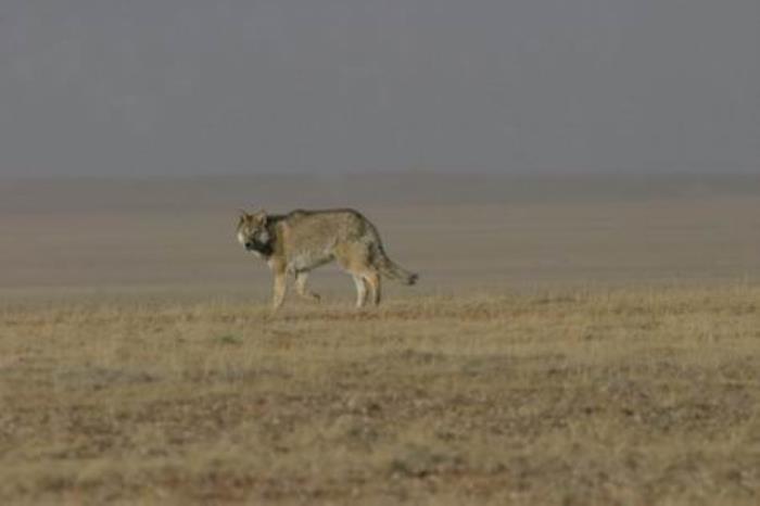 云南小伙自駕西藏11次,總結(jié)出10大經(jīng)驗(yàn),值得收藏 云南小伙自駕西藏11次,總結(jié)出10大經(jīng)驗(yàn),值得收藏