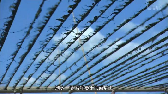 這小城靠“擺拍天堂”火出國外 我卻更愛真實的它 這小城靠“擺拍天堂”火出國外 我卻更愛真實的它