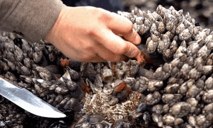 這小城靠“擺拍天堂”火出國外 我卻更愛真實的它 這小城靠“擺拍天堂”火出國外 我卻更愛真實的它