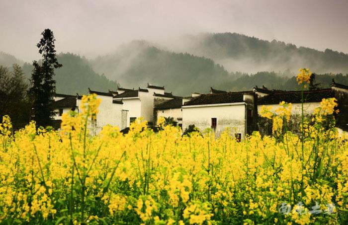 別來(lái)找我 我要去婺源掃黃了