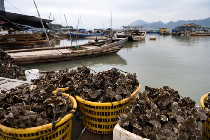 這小城靠“擺拍天堂”火出國外 我卻更愛真實的它 這小城靠“擺拍天堂”火出國外 我卻更愛真實的它