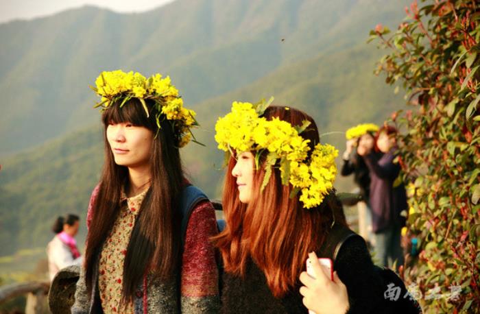 別來(lái)找我 我要去婺源掃黃了 別來(lái)找我 我要去婺源掃黃了