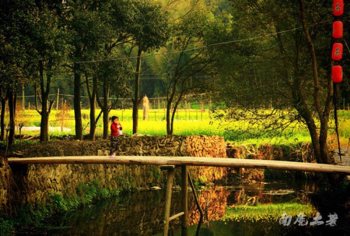 別來(lái)找我 我要去婺源掃黃了 別來(lái)找我 我要去婺源掃黃了