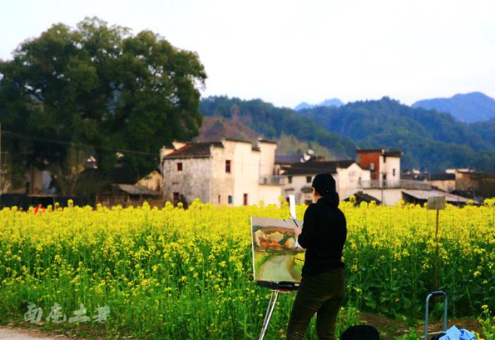 別來(lái)找我 我要去婺源掃黃了 別來(lái)找我 我要去婺源掃黃了