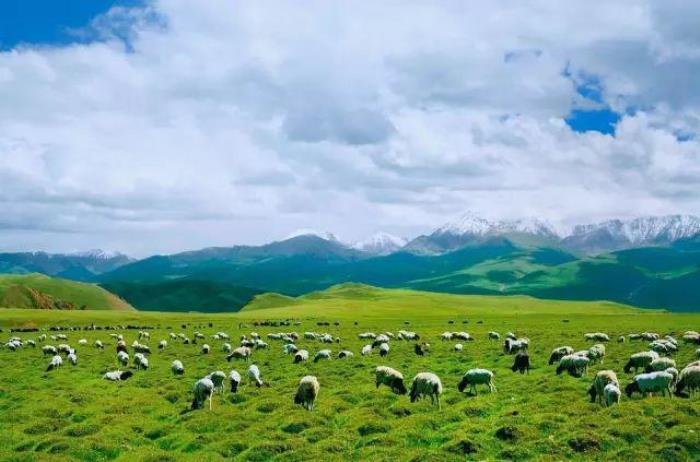 去新疆,看世界的風(fēng)景 去新疆,看世界的風(fēng)景