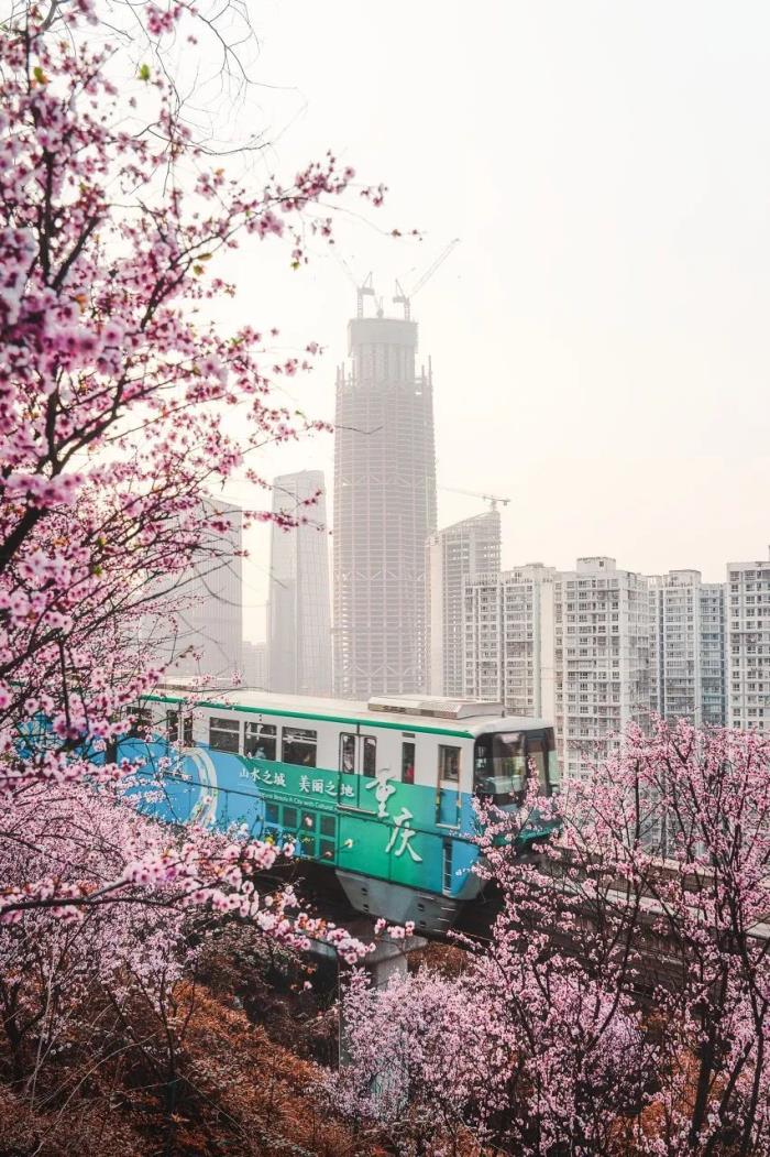 “開往春天的列車”美上央視! 比成都秀美 這座老城你去過嗎? “開往春天的列車”美上央視! 比成都秀美 這座老城你去過嗎?