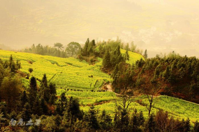 別來(lái)找我 我要去婺源掃黃了 別來(lái)找我 我要去婺源掃黃了