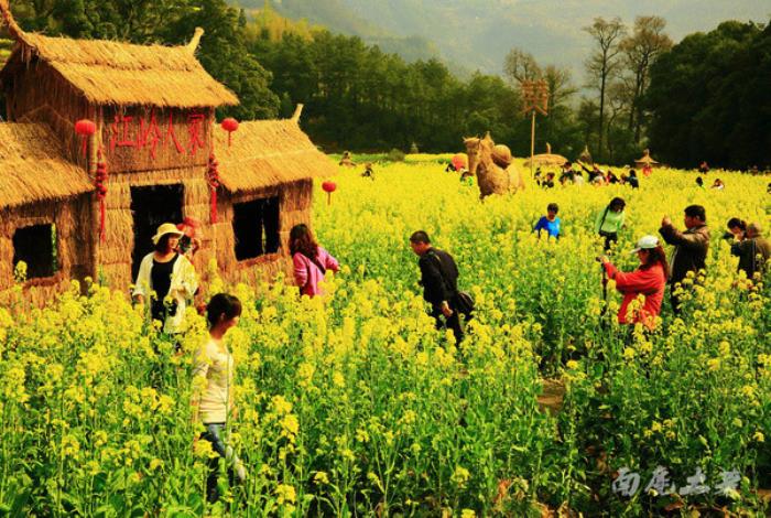 別來(lái)找我 我要去婺源掃黃了 別來(lái)找我 我要去婺源掃黃了