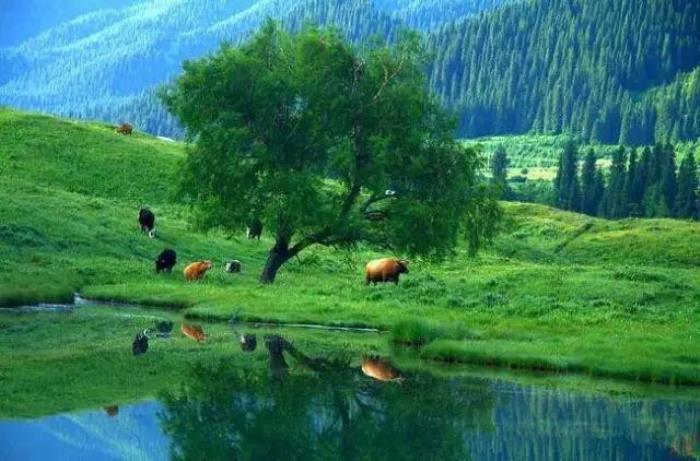 去新疆,看世界的風(fēng)景 去新疆,看世界的風(fēng)景