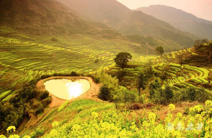 別來(lái)找我 我要去婺源掃黃了 別來(lái)找我 我要去婺源掃黃了