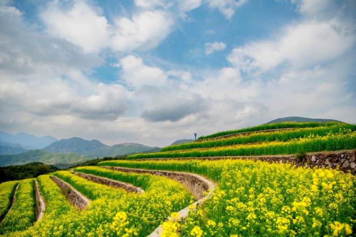 “云”賞花!踏春不出門,我們把春日浪漫送給你~ “云”賞花!踏春不出門,我們把春日浪漫送給你~