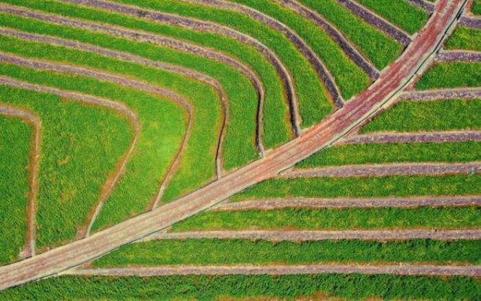 “云”賞花!踏春不出門,我們把春日浪漫送給你~ “云”賞花!踏春不出門,我們把春日浪漫送給你~