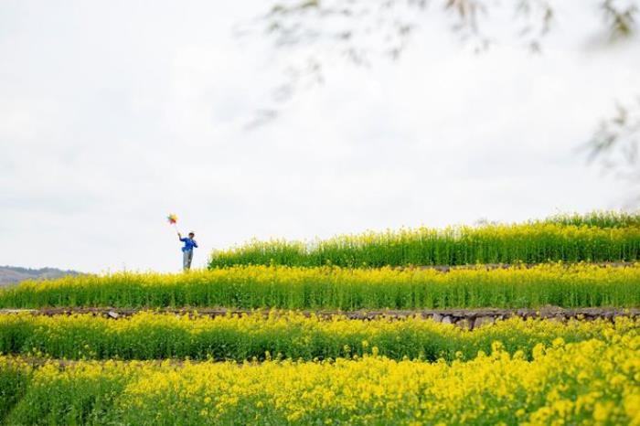 “云”賞花!踏春不出門,我們把春日浪漫送給你~ “云”賞花!踏春不出門,我們把春日浪漫送給你~