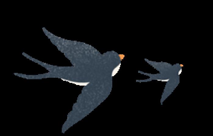 “云”賞花!踏春不出門,我們把春日浪漫送給你~ “云”賞花!踏春不出門,我們把春日浪漫送給你~