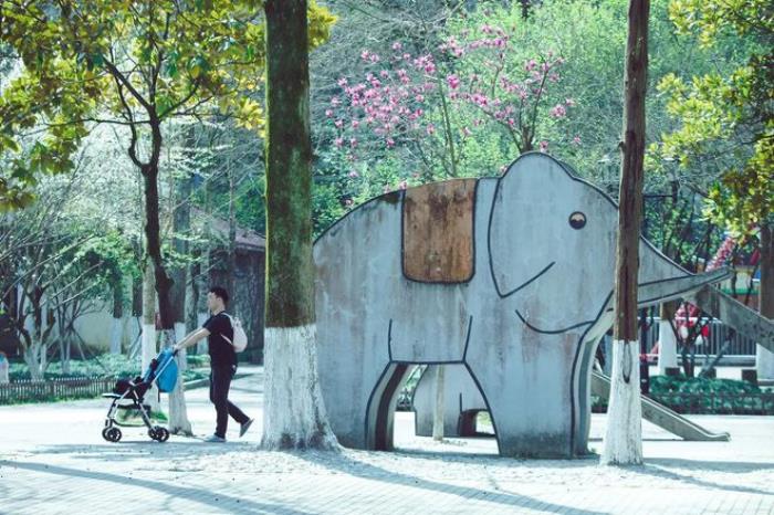 “云”賞花!踏春不出門,我們把春日浪漫送給你~ “云”賞花!踏春不出門,我們把春日浪漫送給你~