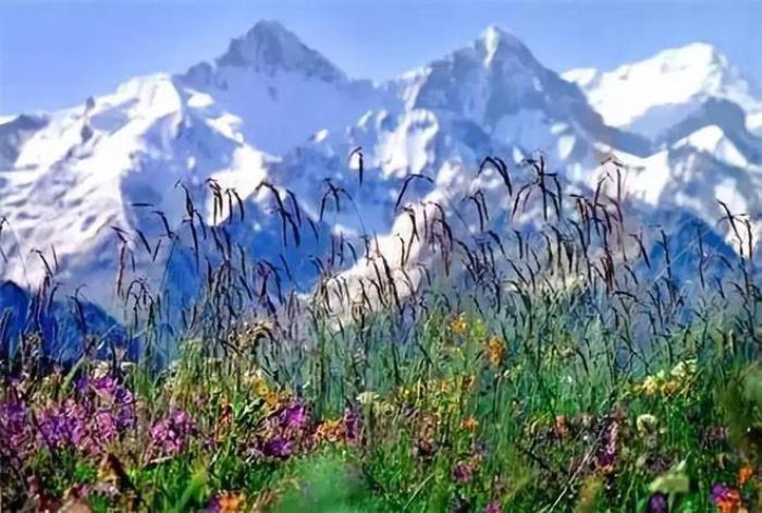 去新疆,看世界的風(fēng)景 去新疆,看世界的風(fēng)景