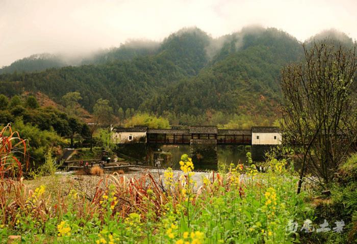 別來(lái)找我 我要去婺源掃黃了 別來(lái)找我 我要去婺源掃黃了