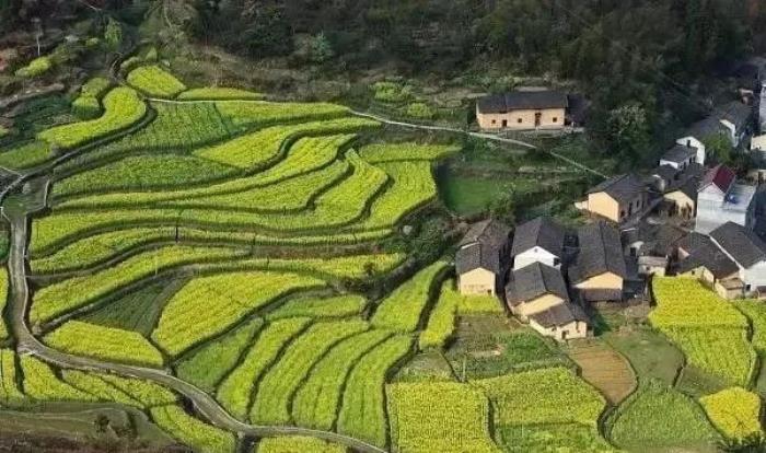 三四月不可錯(cuò)過的8個(gè)地方,春色融融,收拾好行囊踏春去吧! 三四月不可錯(cuò)過的8個(gè)地方,春色融融,收拾好行囊踏春去吧!