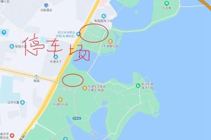 武漢東湖海洋世界在哪里?怎么去?
