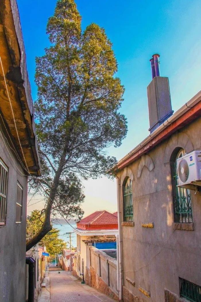 三四月不可錯(cuò)過的8個(gè)地方,春色融融,收拾好行囊踏春去吧! 三四月不可錯(cuò)過的8個(gè)地方,春色融融,收拾好行囊踏春去吧!