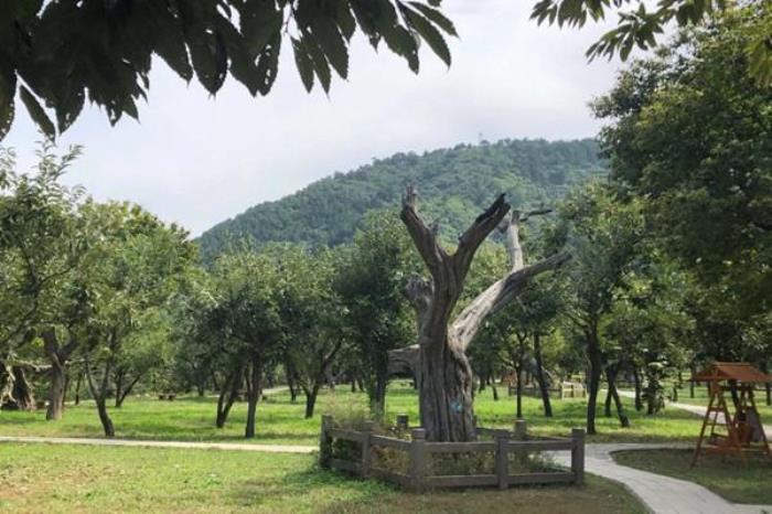 銀山塔林風(fēng)景區(qū)現(xiàn)在開放嗎 銀山塔林風(fēng)景區(qū)現(xiàn)在開放嗎