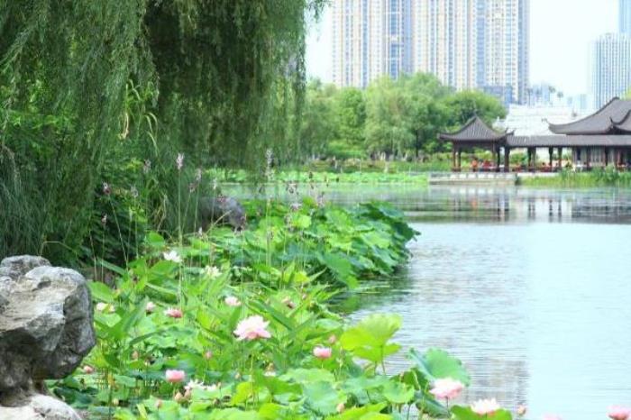 武漢沙湖公園門票多少錢