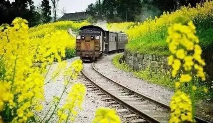 三四月不可錯(cuò)過的8個(gè)地方,春色融融,收拾好行囊踏春去吧! 三四月不可錯(cuò)過的8個(gè)地方,春色融融,收拾好行囊踏春去吧!