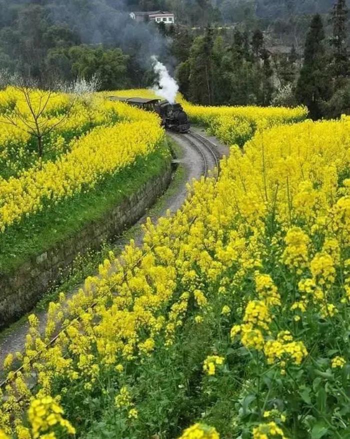 三四月不可錯(cuò)過的8個(gè)地方,春色融融,收拾好行囊踏春去吧! 三四月不可錯(cuò)過的8個(gè)地方,春色融融,收拾好行囊踏春去吧!