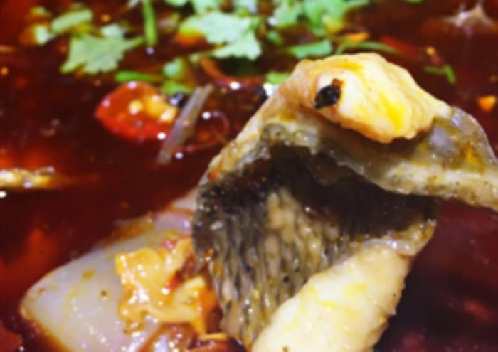 重慶哪家魚火鍋最好吃