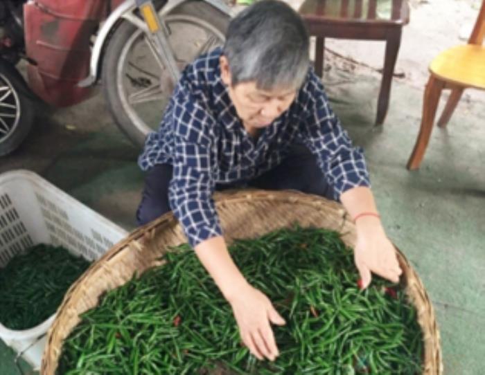 重慶哪家魚火鍋最好吃