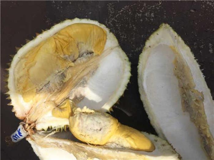 馬來(lái)西亞有什么好吃的