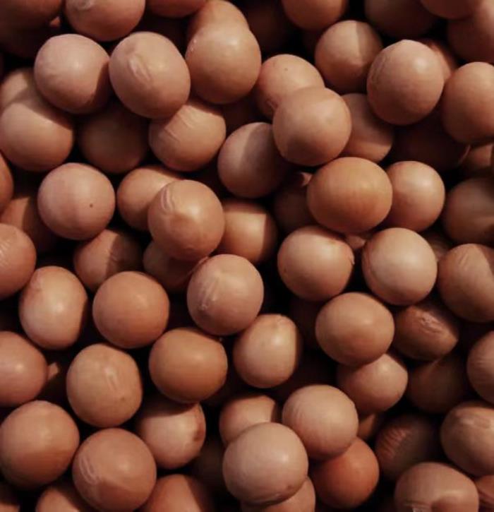 黑河有哪些土特產