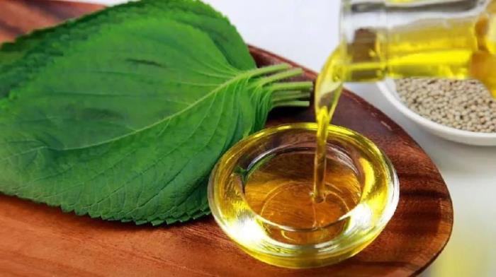 黑河有哪些土特產