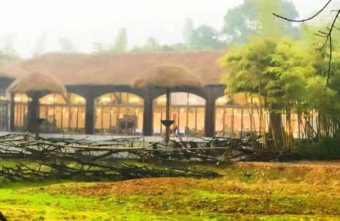 湖州長頸鹿莊園 湖州長頸鹿莊園