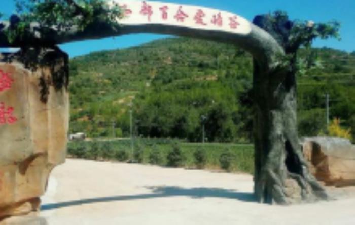 隆德盤龍山莊寧夏景點