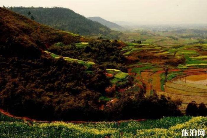 自貢尖山自然風景區 自貢尖山自然風景區