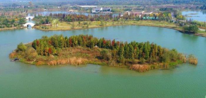 湖州長興太湖圖影濕地