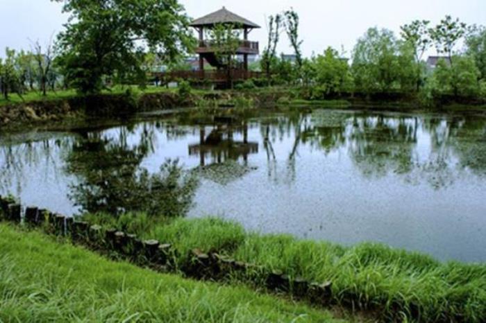 湖州長興太湖圖影濕地