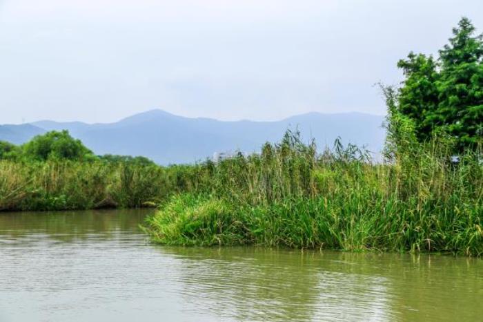 湖州長興太湖圖影濕地