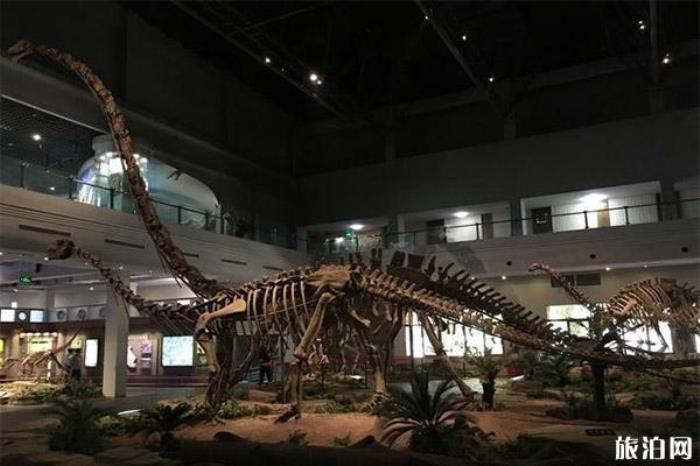 自貢恐龍博物館