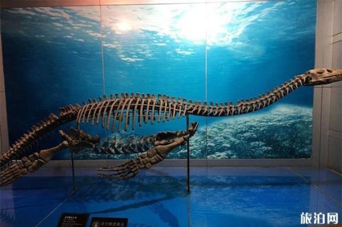 自貢恐龍博物館