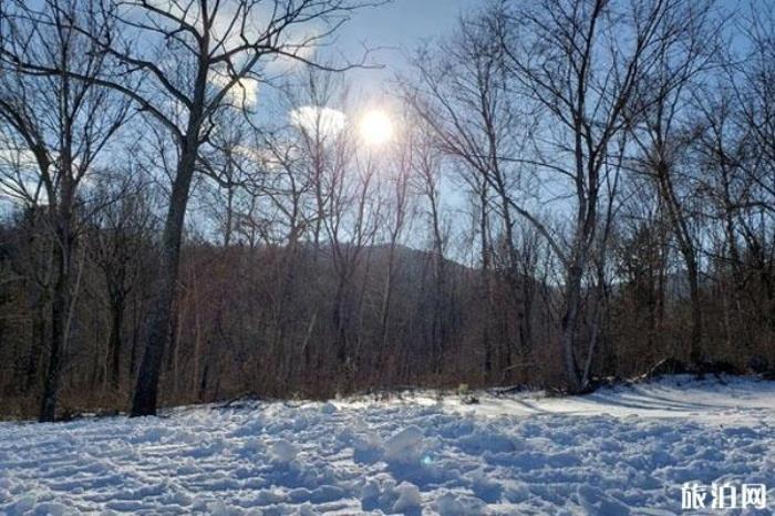 亞布力新體委滑雪場景區介紹