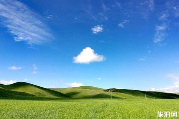 甘加草原 甘加草原