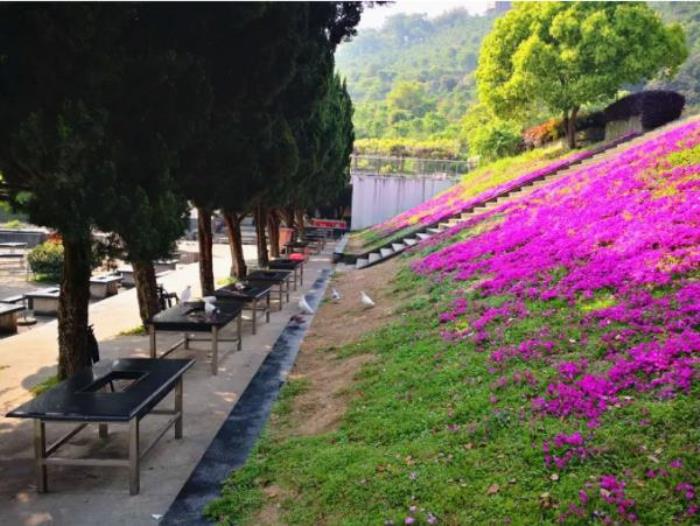 綠野山居景區(qū)