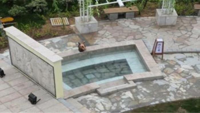 湯山一號溫泉度假區 湯山一號溫泉度假區