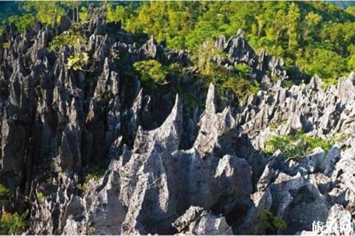 仙安石林 仙安石林