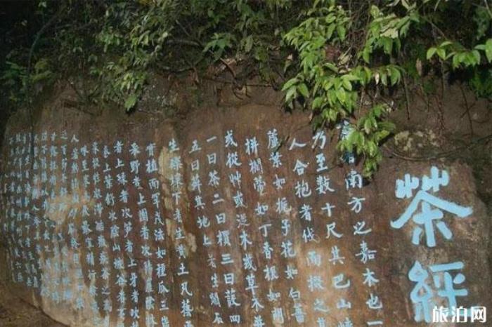 瀑布林生態旅游區