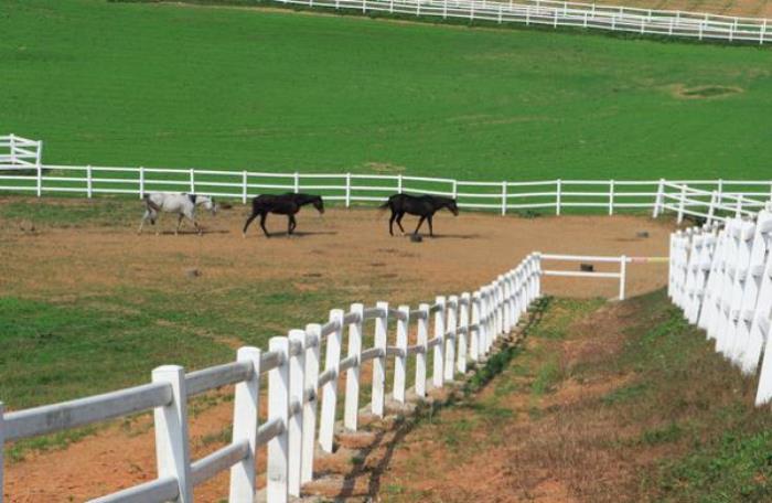 海之灣戶外大本營